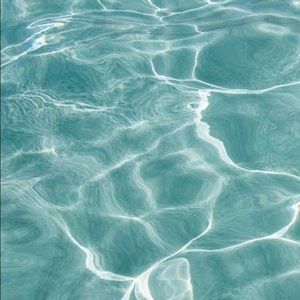 Meet your Posher, Maddie